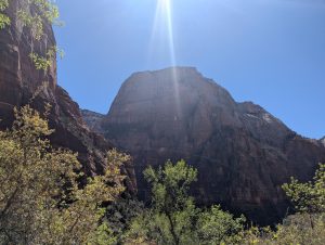 Zion Main Canyon 2